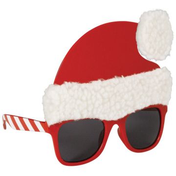 Occhiali Babbo Natale Pz.1