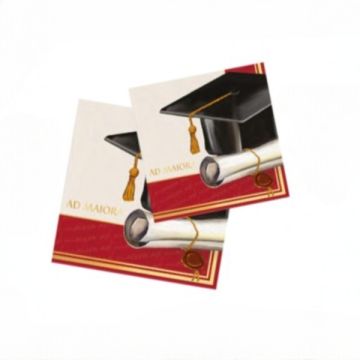 Tovaglioli Laurea Ad Maiora 25x25 Pz.16