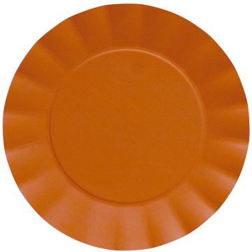 Piatti Grandi Arancio Pz.20 Cm. 24,5 COMPOSTABILE