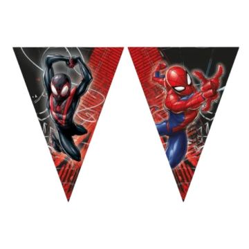 Bandierina In Carta Spiderman Pz.1