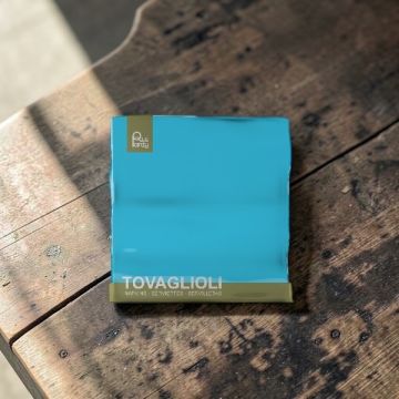 Tovagliolo Cm 33x33 Turchese Pz.40