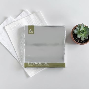 Tovagliolo Cm 33x33 Grigio Freddo Pz.40