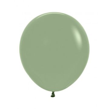 Palloncino Eucalipto (027) 18" Pz.25