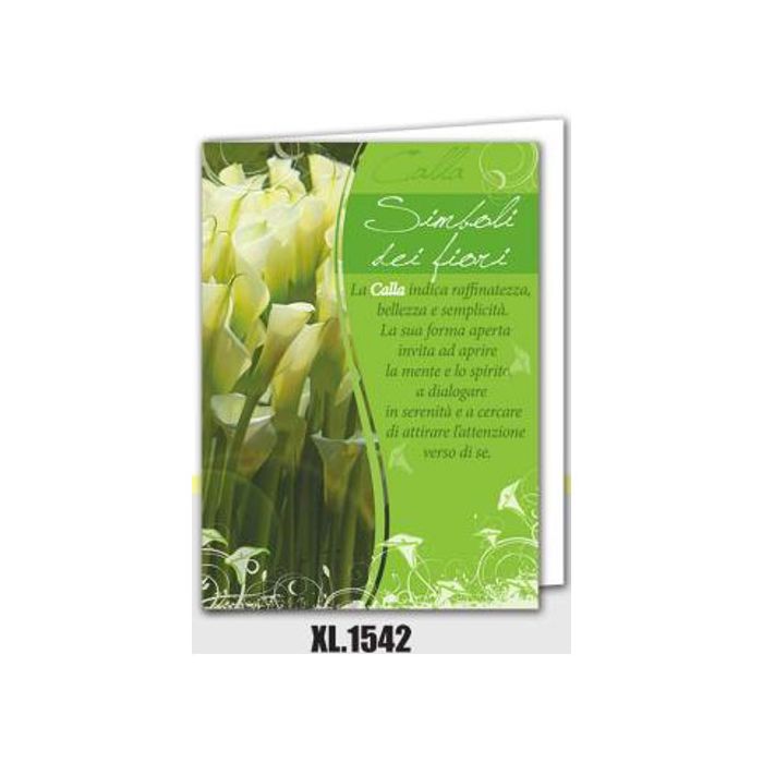 Biglietto Maxi Auguri Pz.3 main product photo