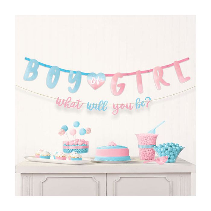 Festone Kit Maschio O Femmina? Pz.1 2 Parti 187 X 25 Cm / 182 X 12 Cm main product photo