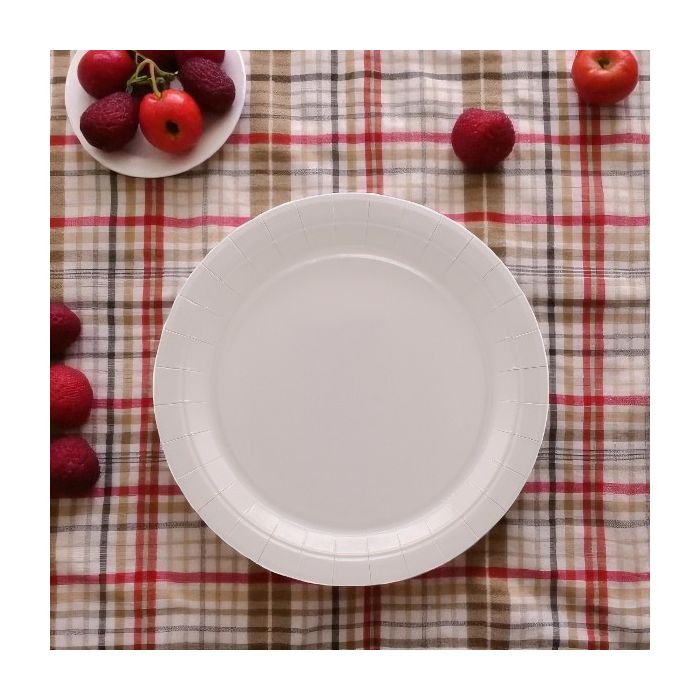 Piatto In Carta Cm 24 Cipria Pz.15 main product photo