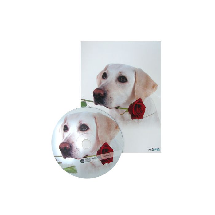 Biglietto Con Cd Musicale Pz.1 R158 - Love Dog main product photo